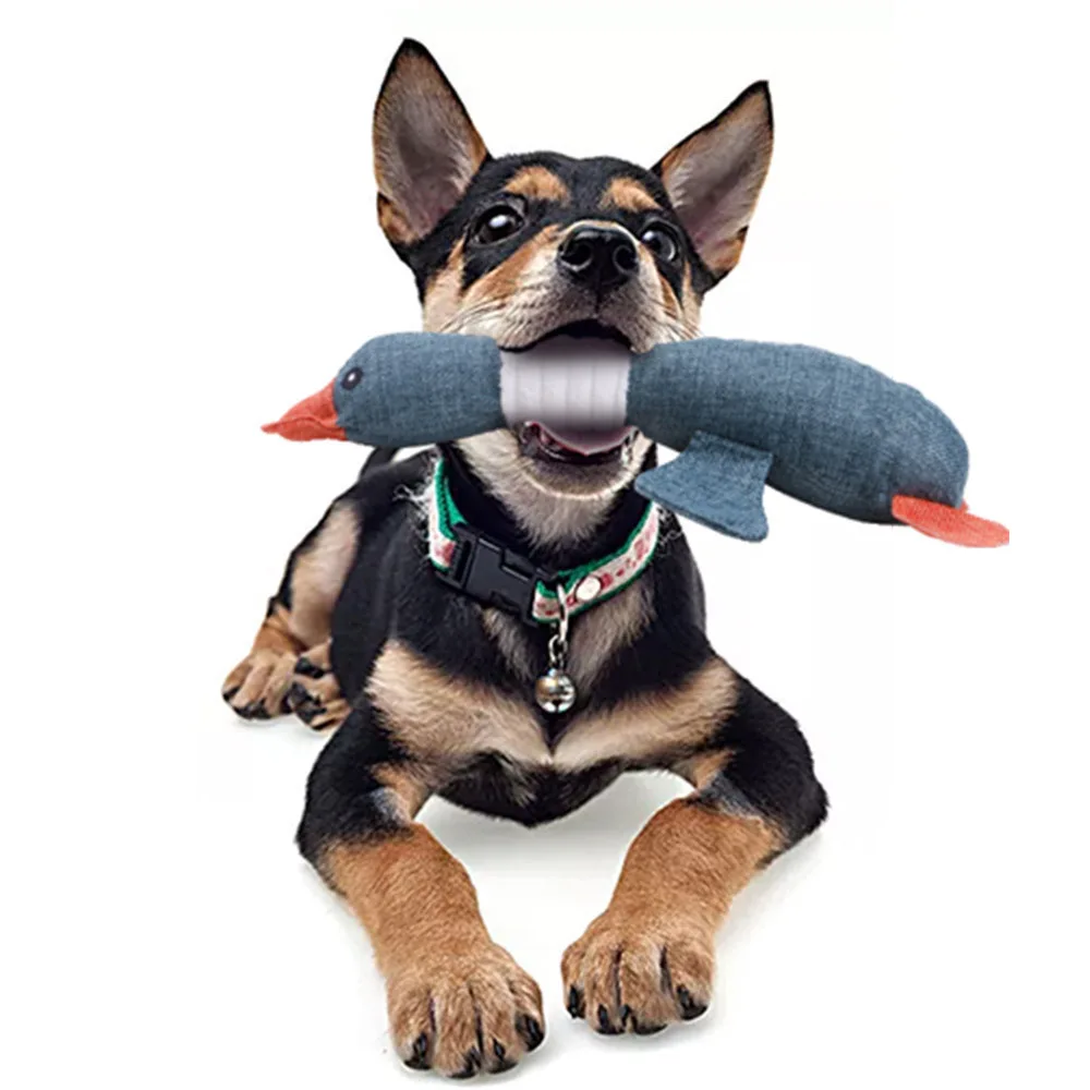 dog chew toy