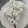 Cream White