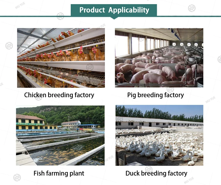 Feed Grade Multivitamins Oral Solution for Poultry Amino Acids Enzymes Methionine Growth Booster That Regulates Intestines