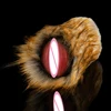 F6279-brown