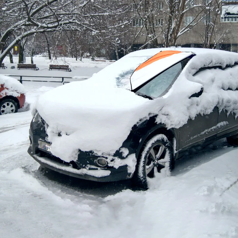 car cover in winter