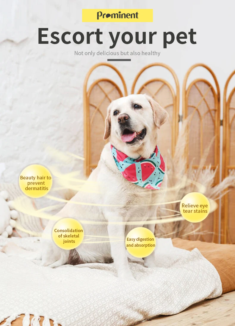 Oem Odm Multiple Various Flavors Dog Food Chinese Pet Food Buy Pet Food,Oem Odm Chinese Pet