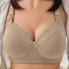 Caqui
