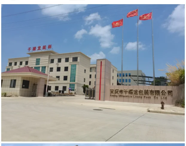 300gsm Blank Board Pe Coated Paper Cup Fan| Alibaba.com