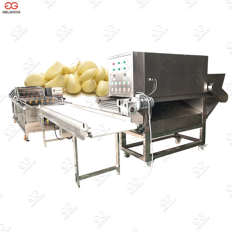 Automatic Garlic Peeling Machine Business Project Garlic Peeler Machine  Manufacturer - China Automatic Garlic Peeling Machine, Garlic Peeling  Machine Manufacturer