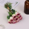 conjunto de polvo rojo