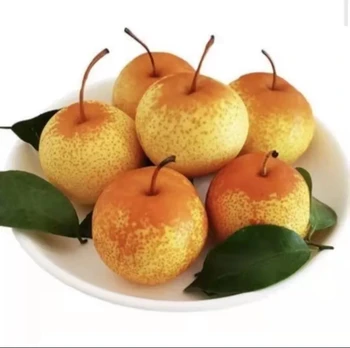 The famous sweet natural fresh pear wholesale price