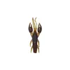 Brown crayfish bulk single