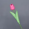 Rosa madeira