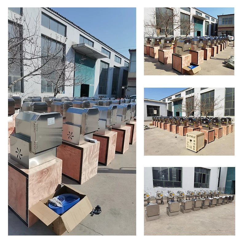 Multi-functional Small Vegetable Cutter Celery Parsley Leek Green Onion Cucumber Slicer Shredder Vegetable Cutting Machine