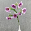 viola scuro