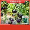 11# Tomate Negro