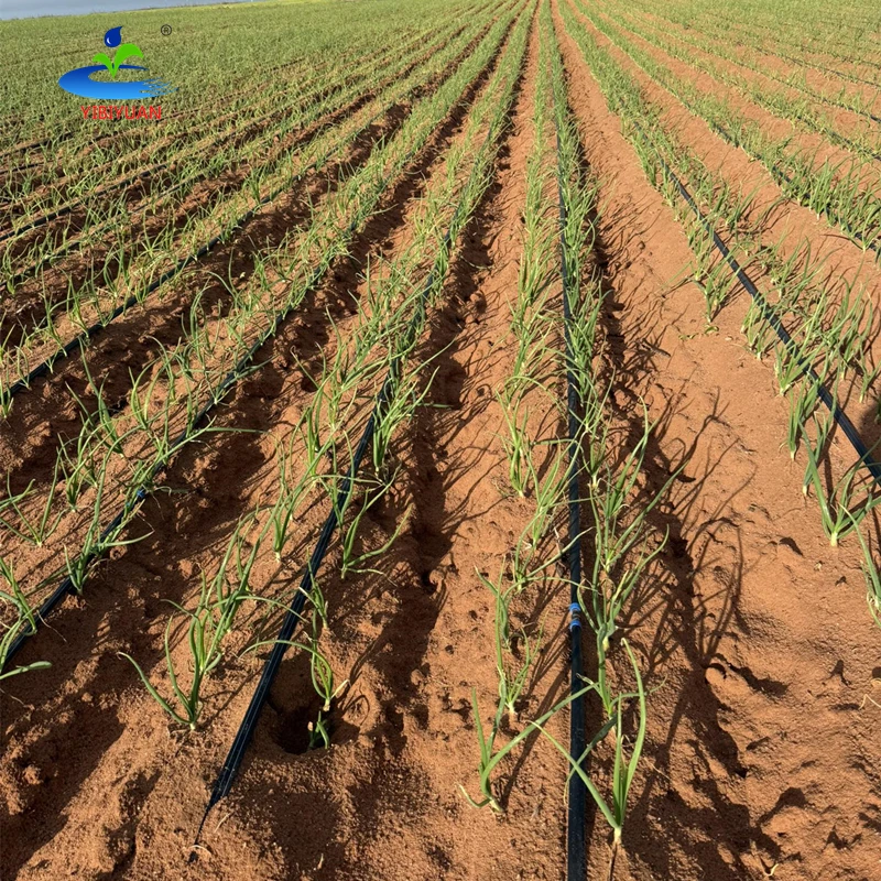1 Hectare Drip Irrigation Kit Line Hose 0.4 0.3 0.2mm Drip Irrigation Pipes for Farms 1000m