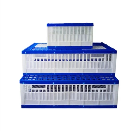 Portable Pigeon Transport Crate Foldable Pigeon Breeding Cage Training Box for Pigeon