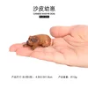 2314 Perro pequeño chino Shar Pei