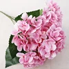 Rose profond