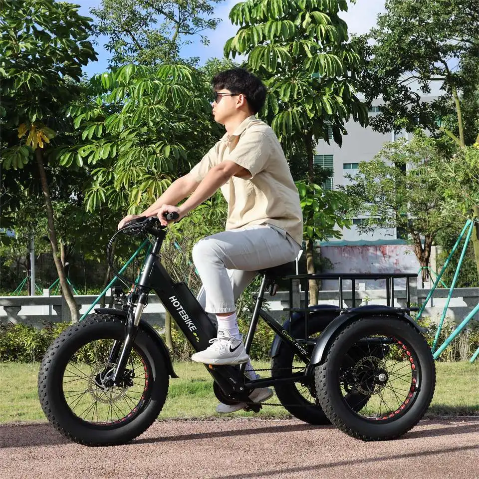 ET350 Electric Fat Tire Tricycle for Adults with 36V Motor