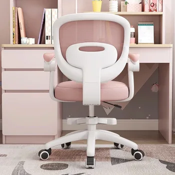 Adjustable Low Back Mesh Desk Chair for Boys Girls Modern Style Support Lumbar-for Students Computer Task Study Durable Metal