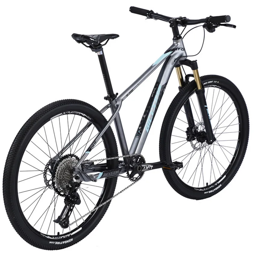 Full Suspension 29 Inch Cycle Mtb /double Disc Brakes Alloy Bicycle 21 ...