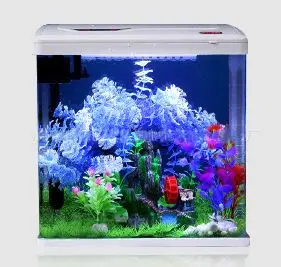 Mini Magical Square Coffee Table Aquarium Tank Eco-Friendly Fish Glass Design