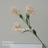 Spider Lily Salmon Color