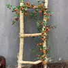 Orange rose vine (180 cm)