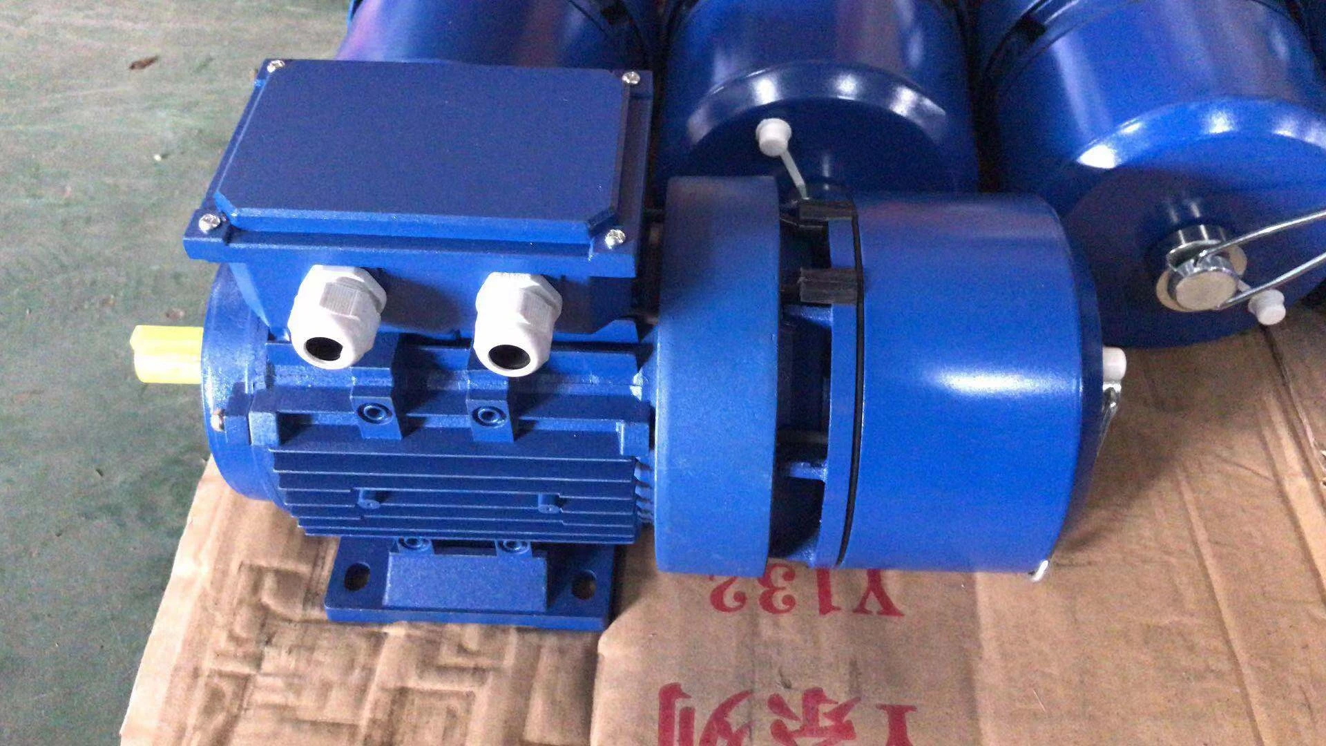 Phase Electric Vibration Motor, NO - detail 54