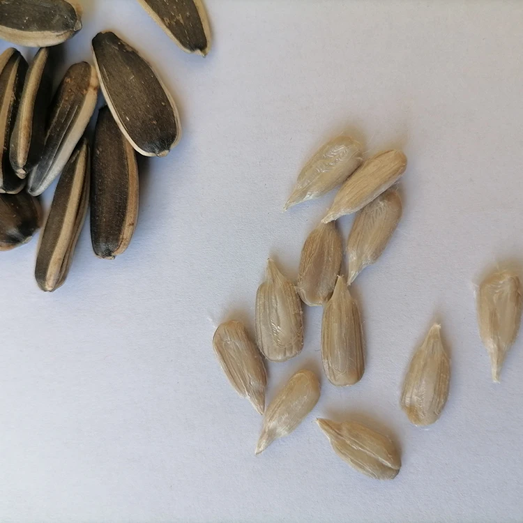 Manufacturer Direct Sales Chinese Wholesale Sunflower Seeds Sunflower Seeds In Bag