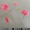 ดอกเดอเลียสีแดงกุหลาบ 4 ดอก