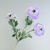 Peonía violeta claro
