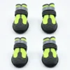 Fluorescent green