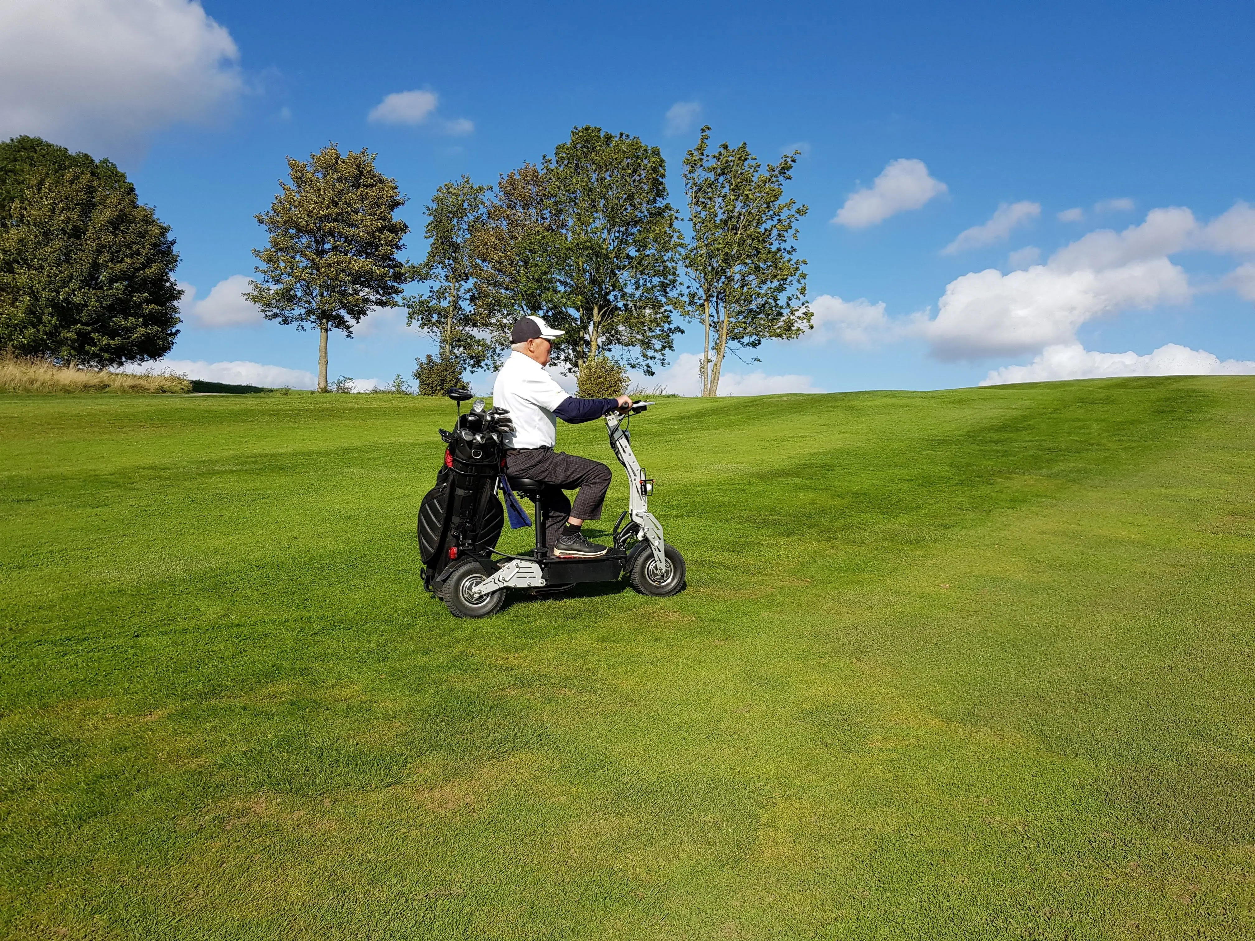 Factory Direct Sales 11inch Scooter Dual Drive Electric Scooter Off-Road High Speed Folding Lithium Battery Golf Cart