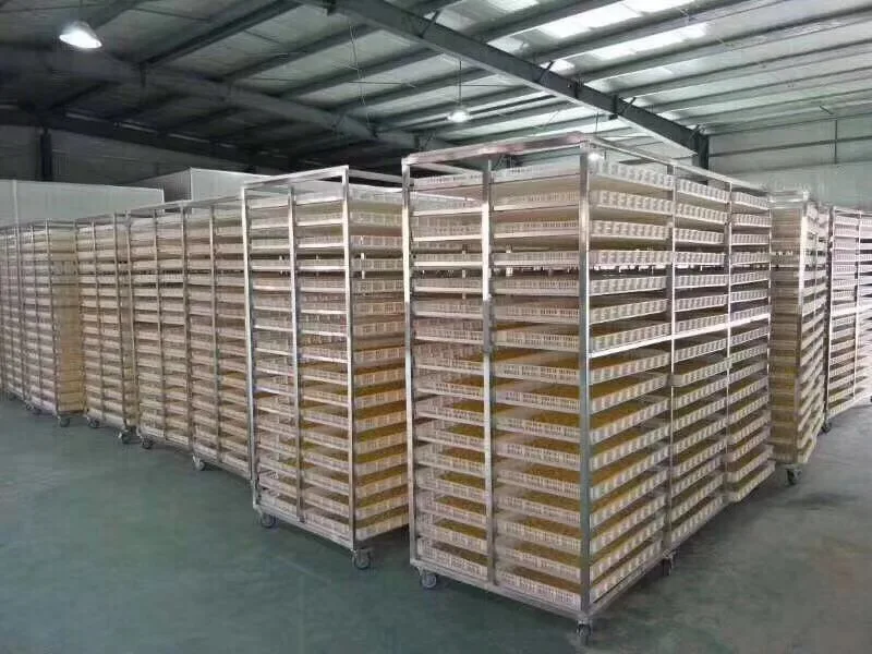 Tray Dehydrator Heat Pump, 11kw, SUS304 - detail 10