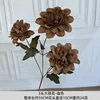 dalia de 3 cabezas