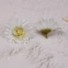 Una flor blanca