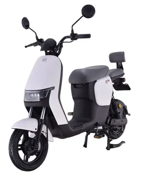 Teenager EEC Electric Scooter 48V/60V E-bike Cheap Price