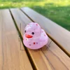 Pato transparente D