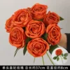 กุหลาบหลวงสีส้ม ดอกเดี่ยว