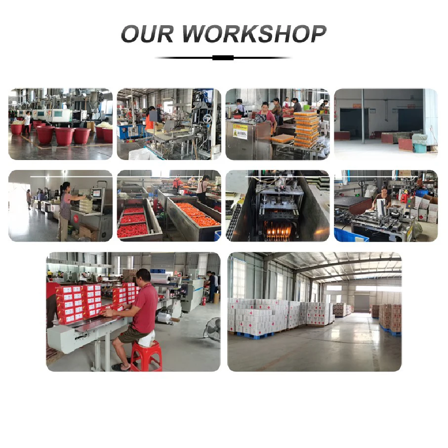 Customized Assembly Butane Gas Disposable Lighter Parts Cigarette Lighter Making Machine