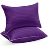 VIOLETA