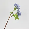 2 têtes bleues