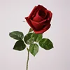 Rouge profond