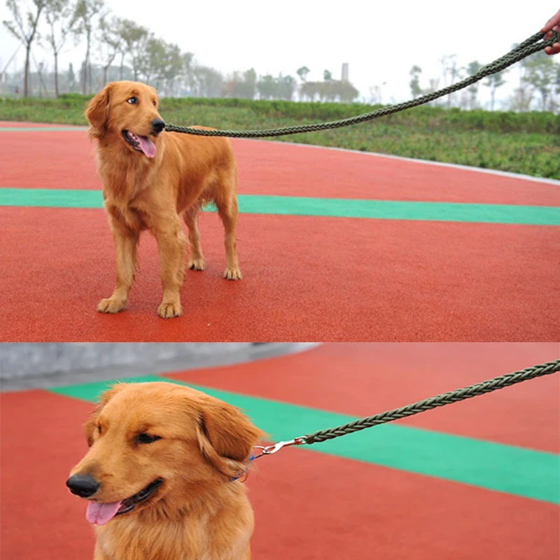 Swivel Carabiner Dog Rope Leash