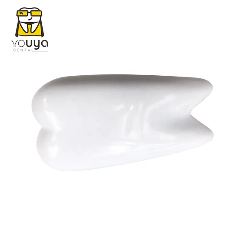 Рекламный офисный бумажный степлер в форме зубов для стоматологической аптеки