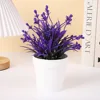 Eucalyptus Purple