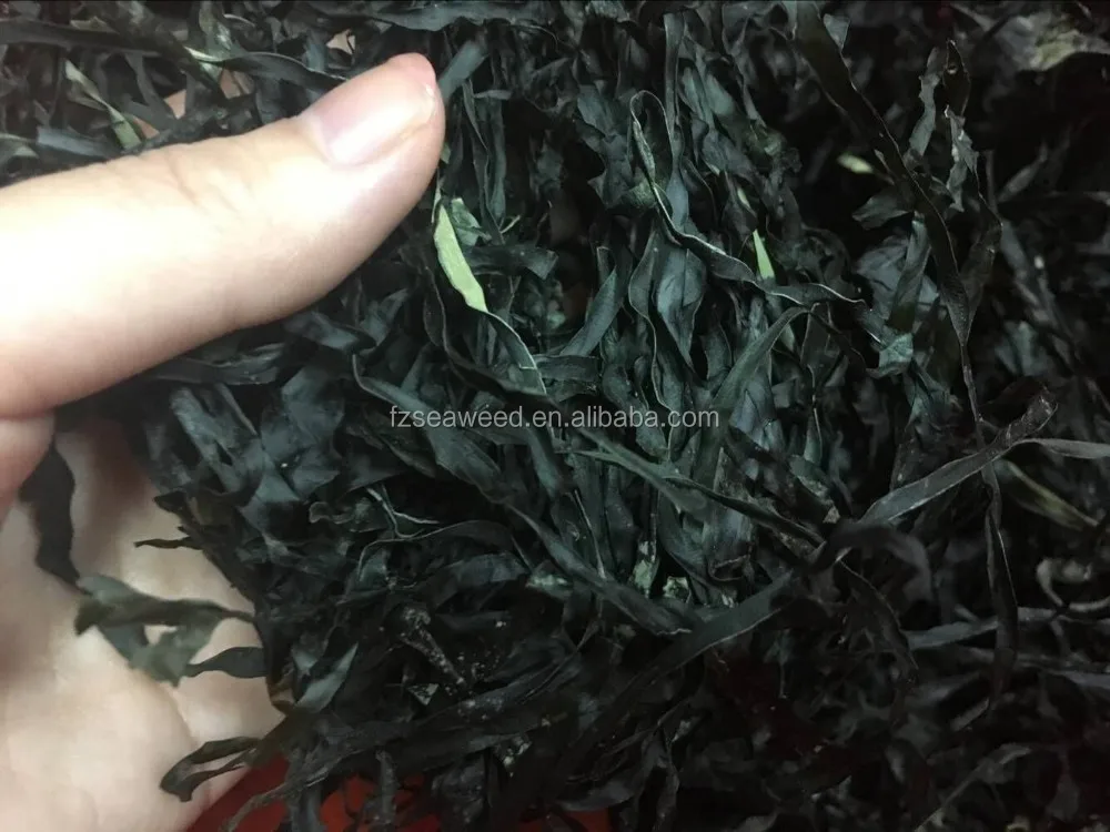 Natural Dried Seaweed Fujian Origin Machine Dried Kelp Laminaria Shredded