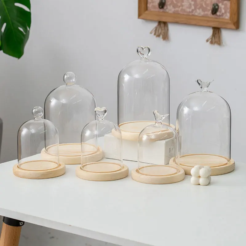 Hot Sale Glass Display Cloche Dome With Wood Base Large Size Office ...