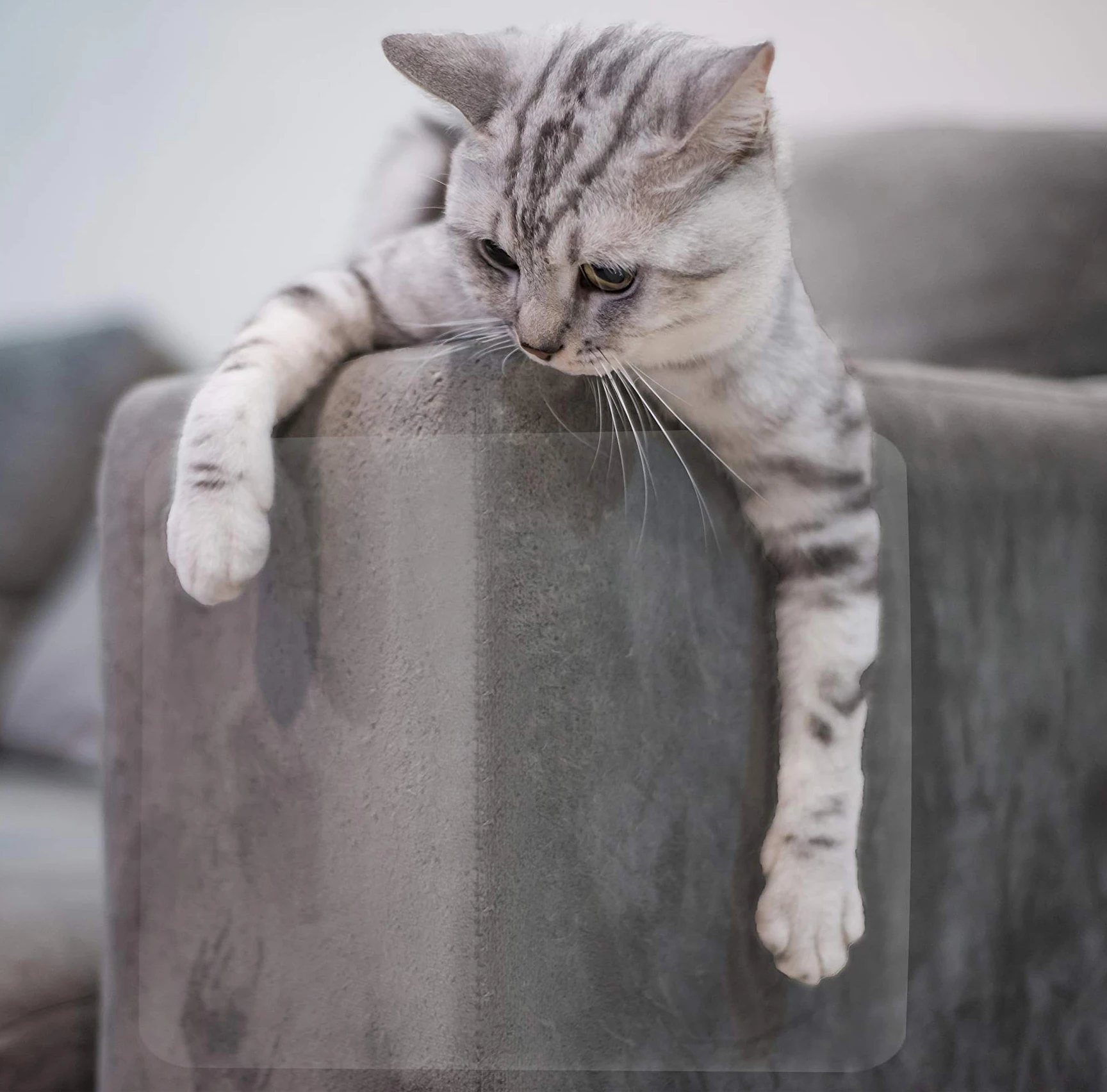 cat scratch mattress protector