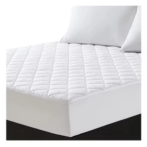 Soft Breathable Knitted Microfiber Waterproof Bed Bug Proof Oeko-Tex Certified Mattress Bed Cover Protector