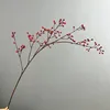 Rose madder
